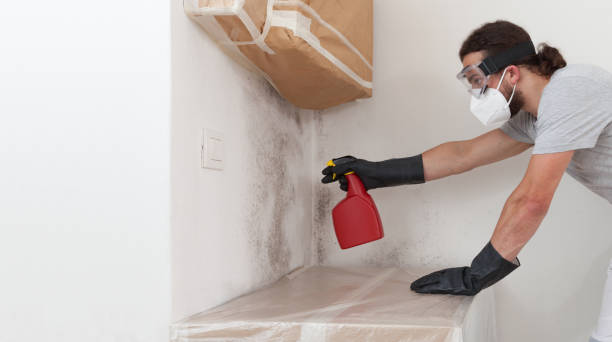 Professional Bathroom Mold Removal technician working in Collegeville, PA